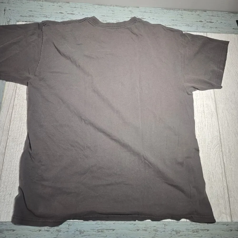 Tennessee Volunteers T-Shirt LARGE Gray Short Sleeve Distressed Thrashed Retro - Picture 4 of 5